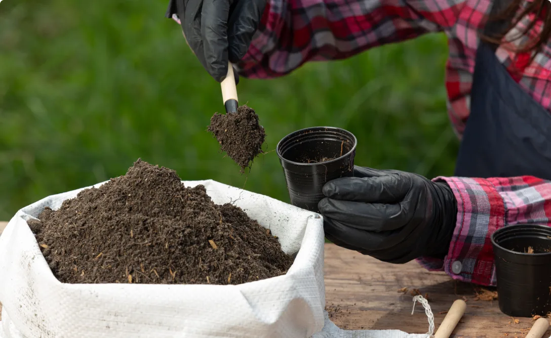Biochar Production