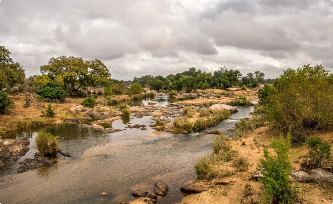 River Recovery